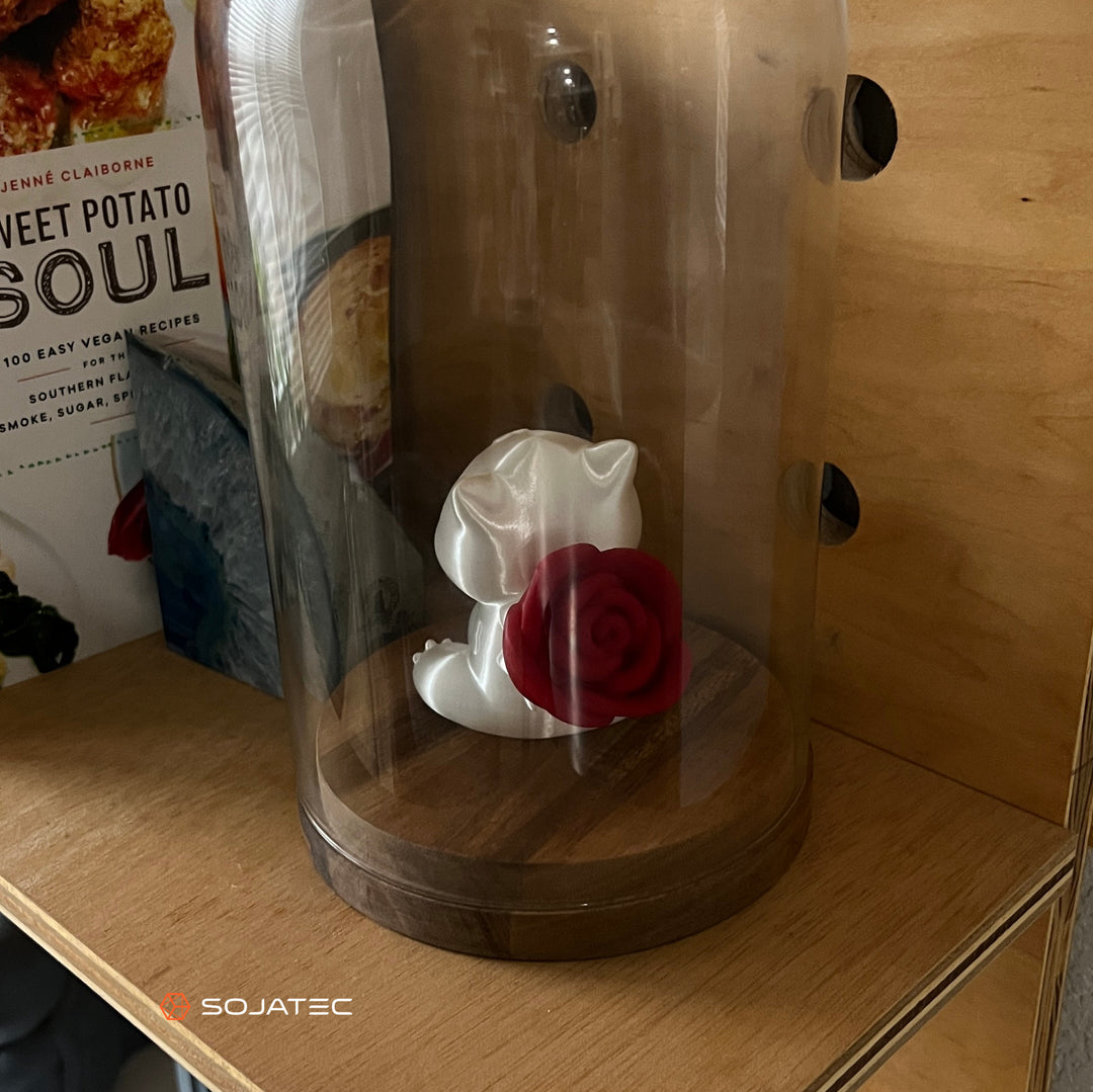 3D Printed Love Sprout with Bulbasaur" - A unique and personal Valentine's Day gift for Pokémon fans. (Vase not included)